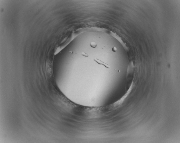 X0000072520186200608041541