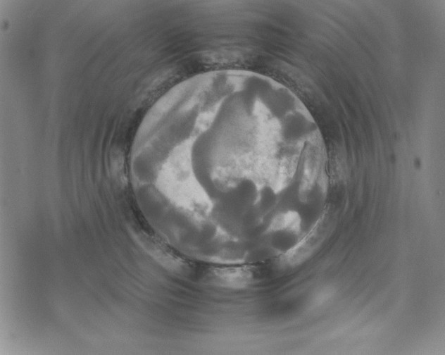 X0000072520187200608041541