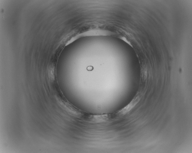 X0000072520188200608041541