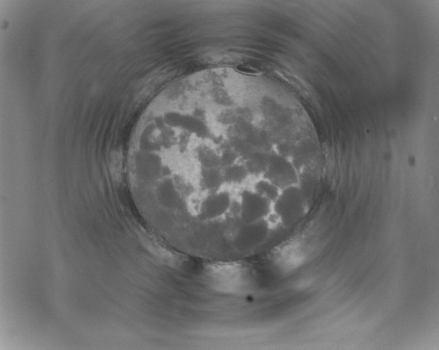 X0000072520189200608041541