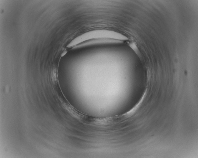 X0000072520190200608041541