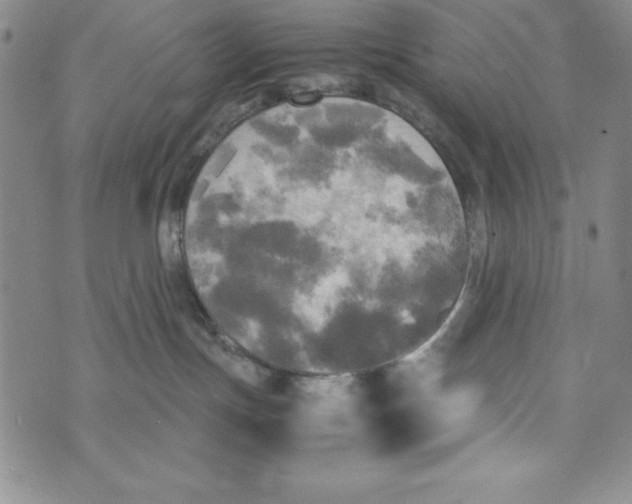 X0000072520191200608041541