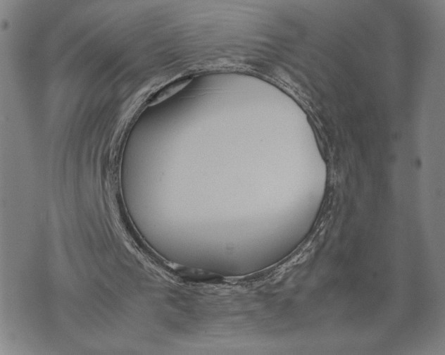 X0000072520193200608041540