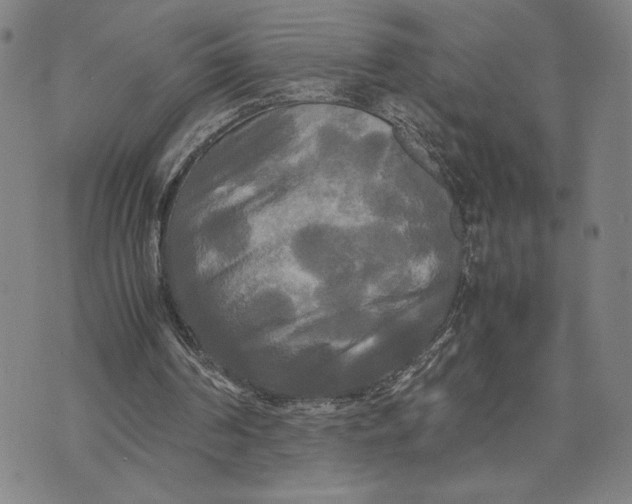 X0000072520194200608041540