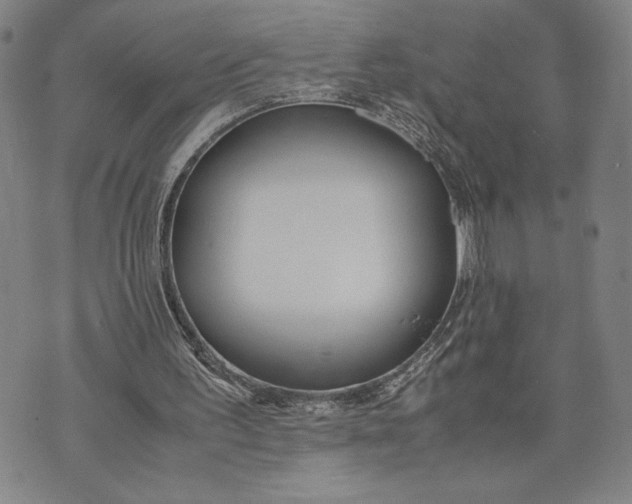 X0000072520195200608041540