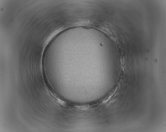 X0000072520196200608041540