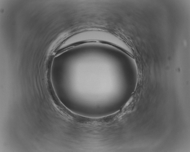 X0000072520197200608041540