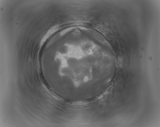 X0000072520198200608041540