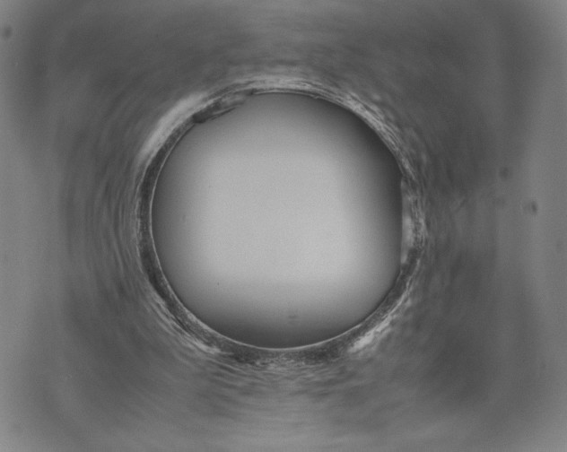 X0000072520199200608041540