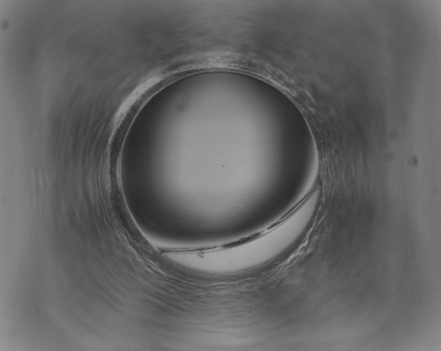 X0000072520200200608041540