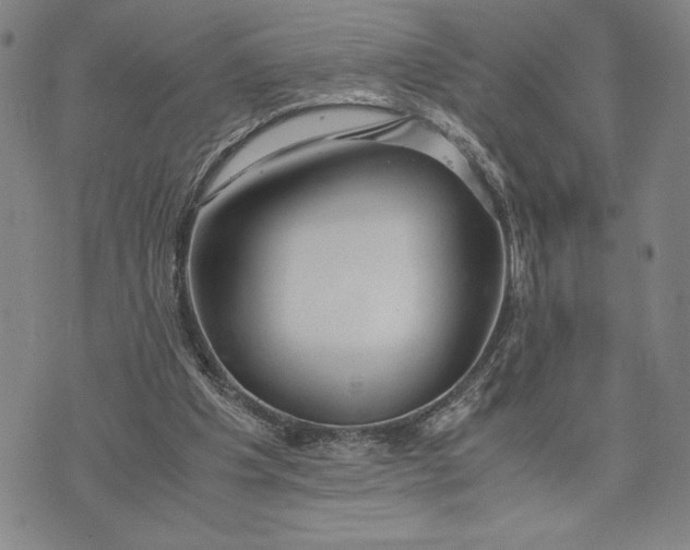 X0000072520201200608041540