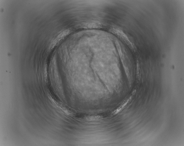 X0000072520202200608041540