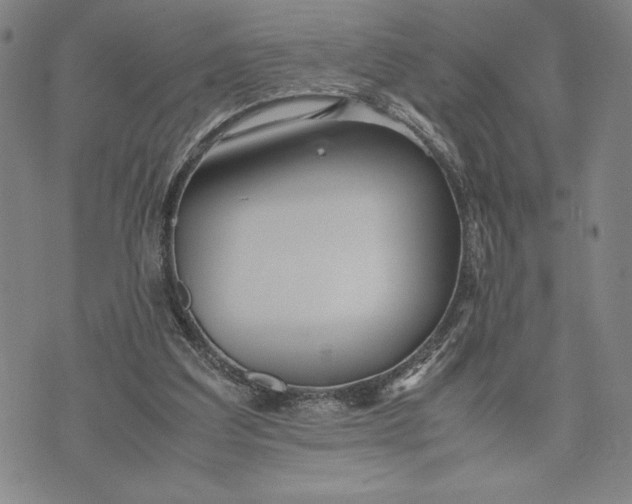 X0000072520203200608041540