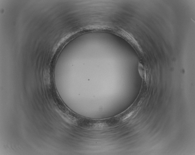 X0000072520204200608041540