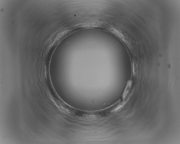 X0000072520205200608041540