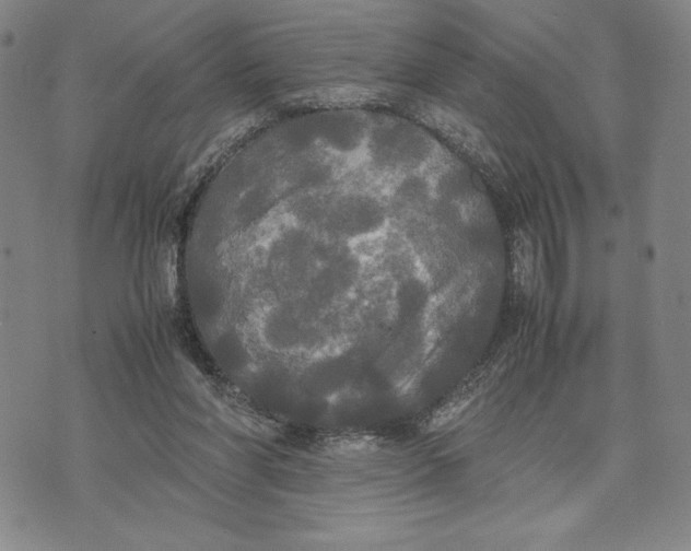 X0000072520206200608041540