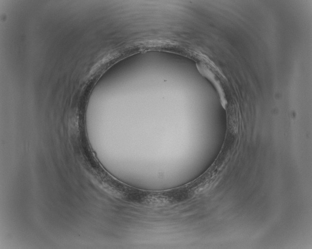 X0000072520207200608041540