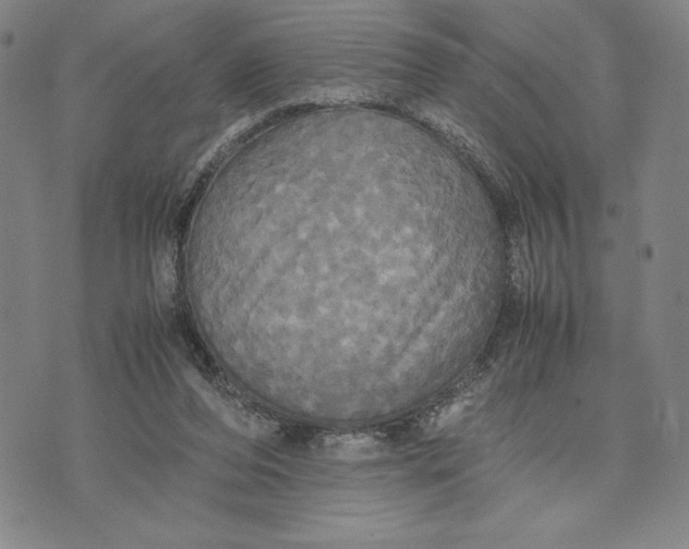 X0000072520208200608041540