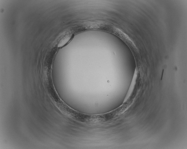 X0000072520209200608041540