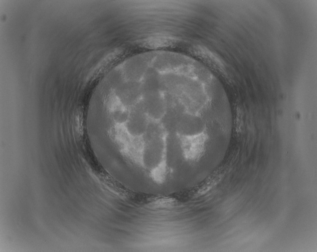 X0000072520210200608041540