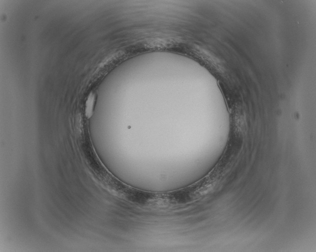 X0000072520211200608041540