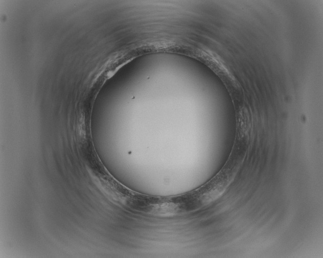 X0000072520212200608041540