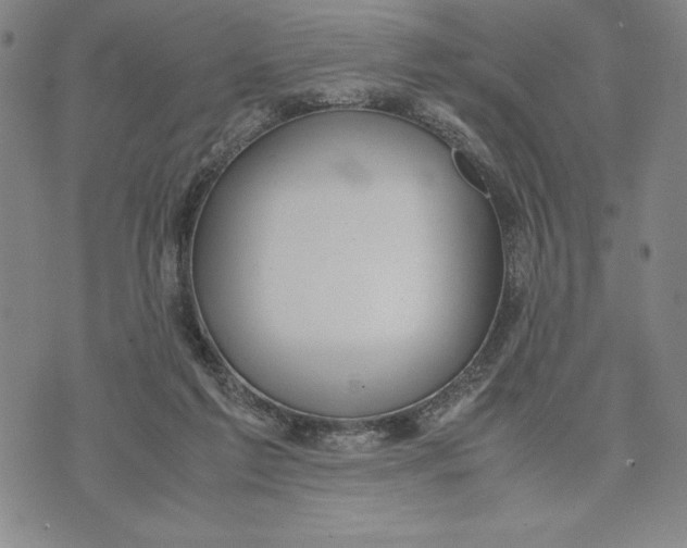 X0000072520213200608041540