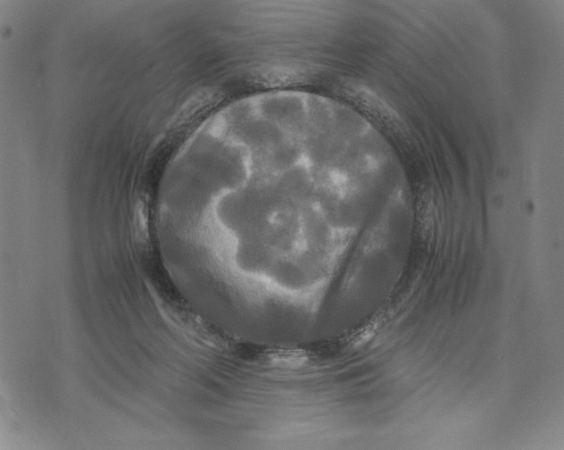 X0000072520214200608041540