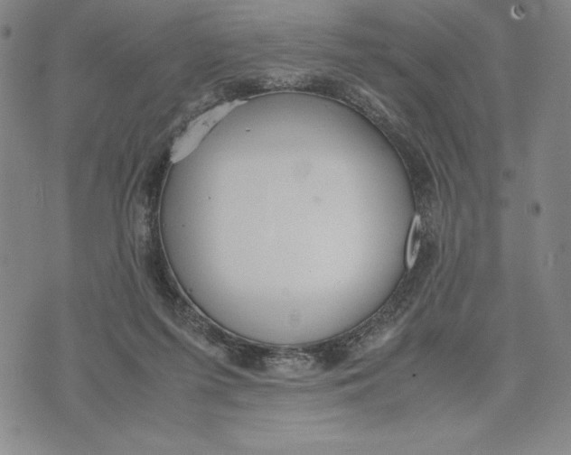 X0000072520215200608041540