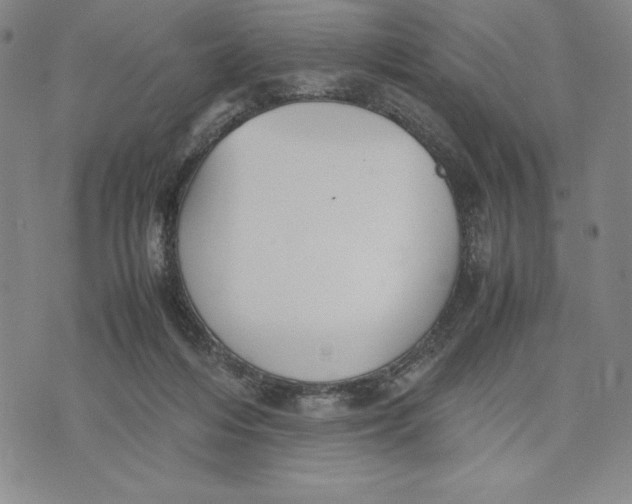 X0000072520216200608041540