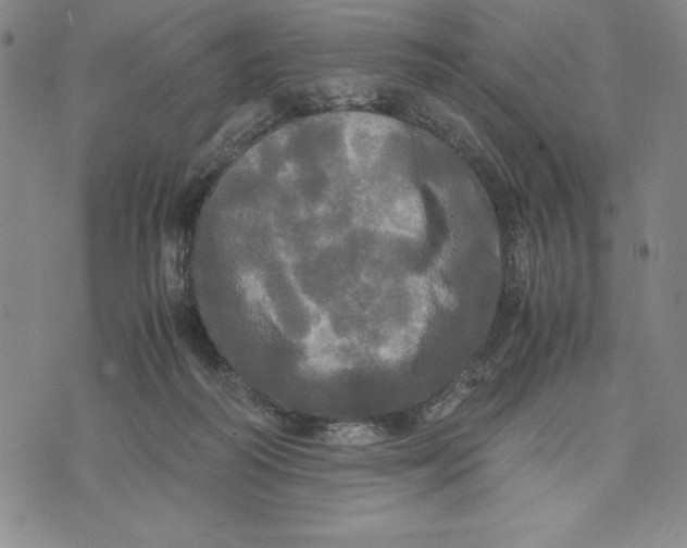 X0000072520218200608041540