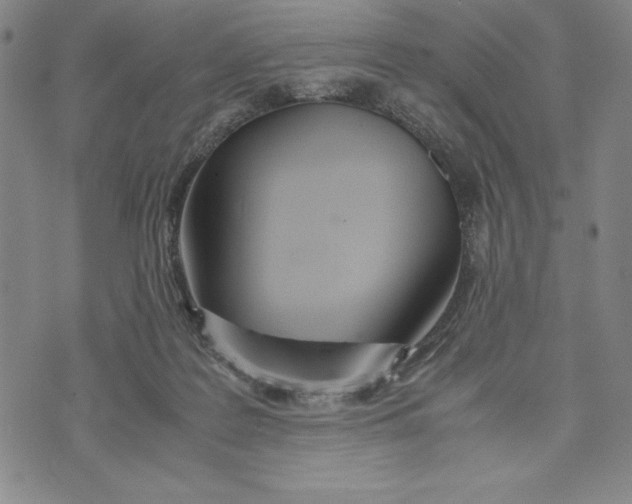 X0000072520219200608041540