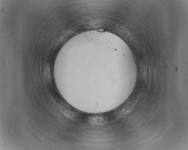 X0000072520220200608041540