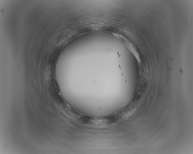 X0000072520221200608041540