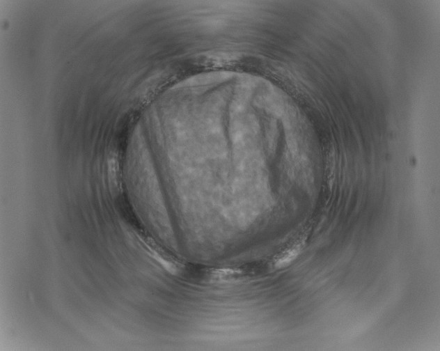 X0000072520222200608041540