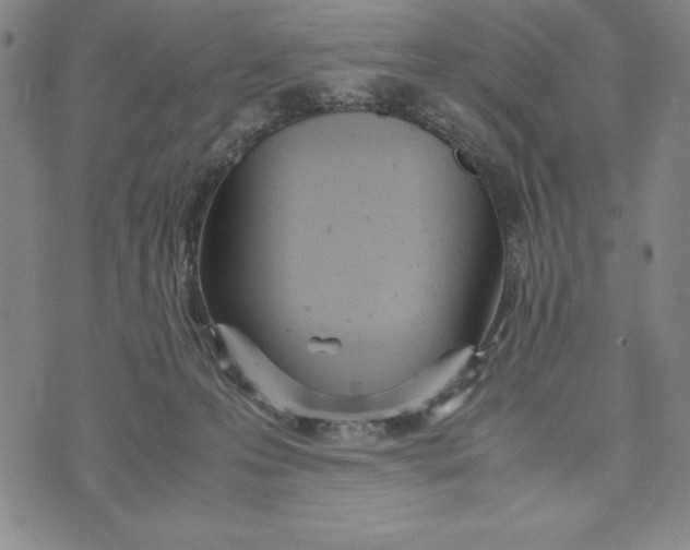 X0000072520223200608041540