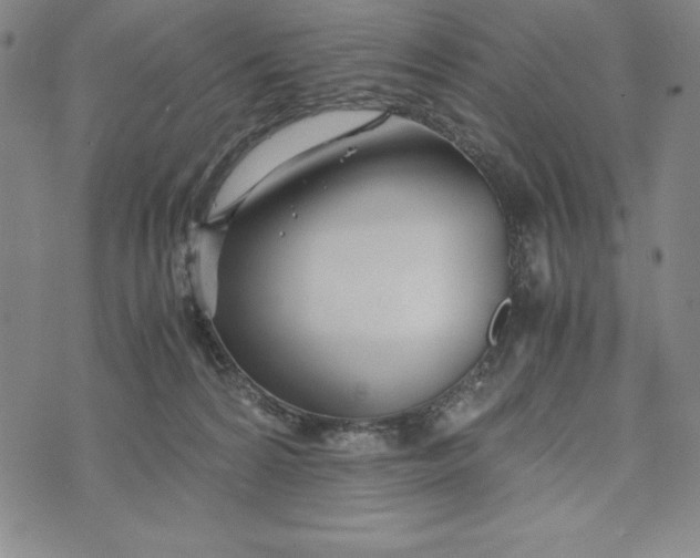 X0000072520224200608041540