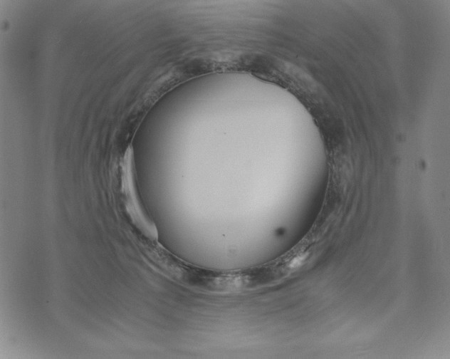 X0000072520225200608041540