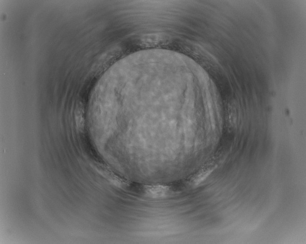 X0000072520226200608041540