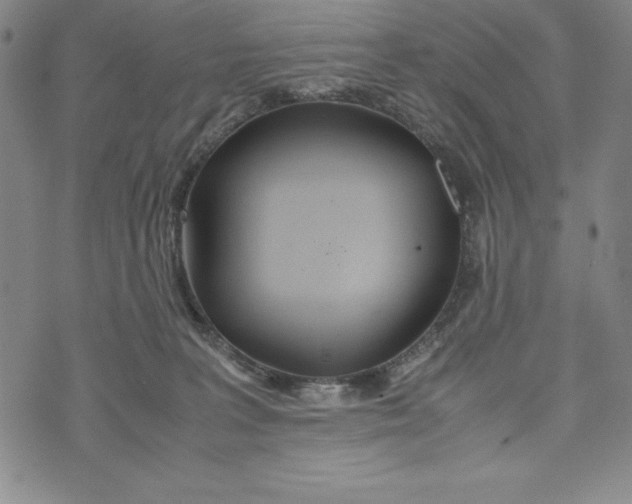 X0000072520227200608041540