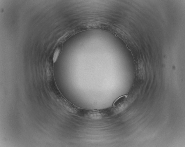 X0000072520228200608041540