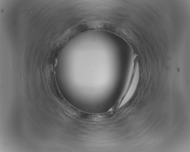 X0000072520229200608041540