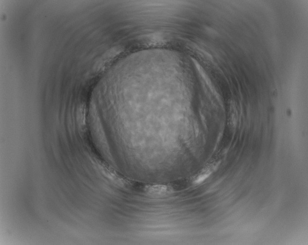 X0000072520230200608041540