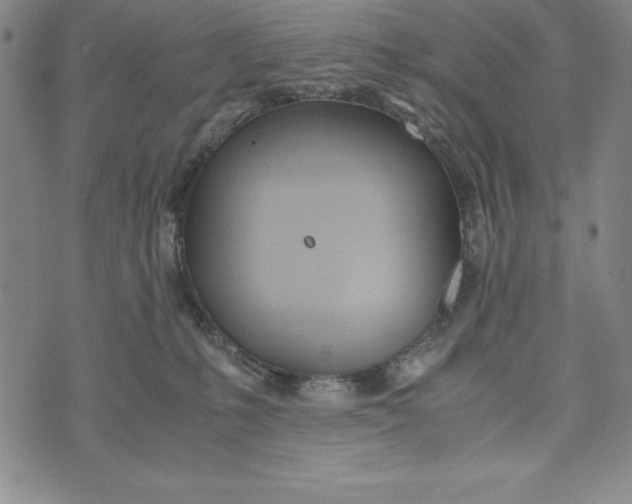 X0000072520231200608041540