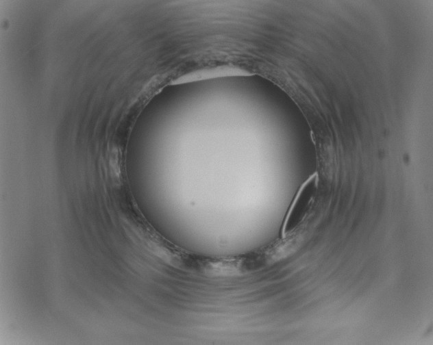 X0000072520232200608041540