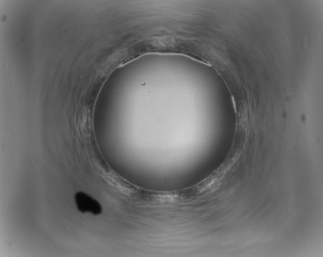 X0000072520233200608041540