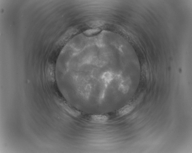 X0000072520234200608041540