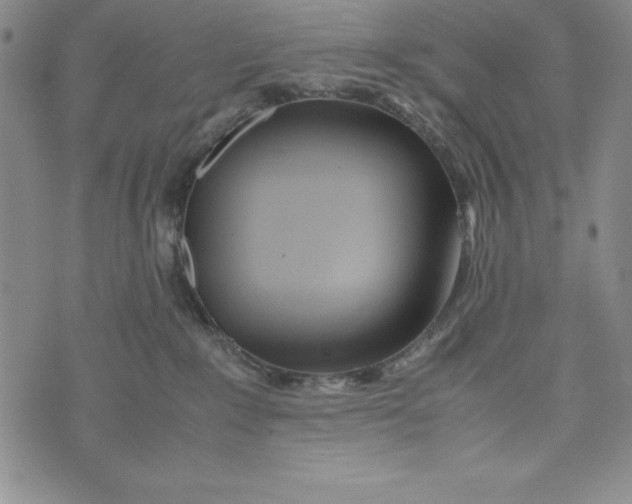 X0000072520235200608041540