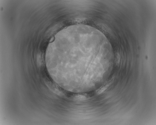 X0000072520236200608041540