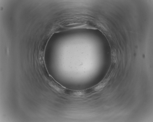 X0000072520237200608041540